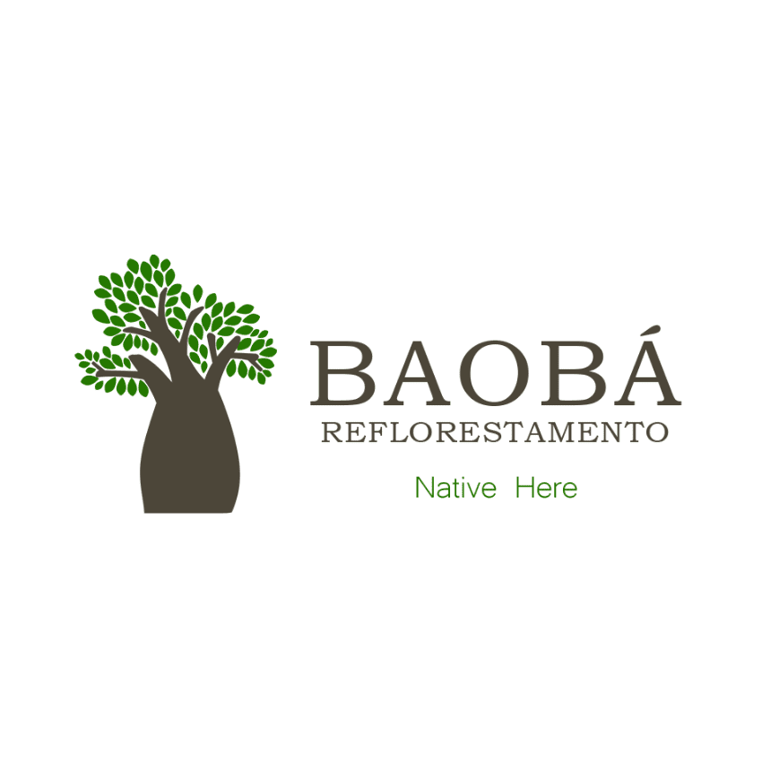 Baobá Reflorestamento e Recuperação de Áreas