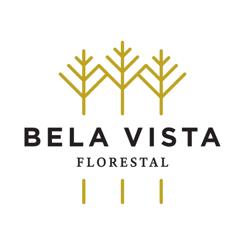 Bela Vista Florestal - RICARDO STEINMETZ VILELA